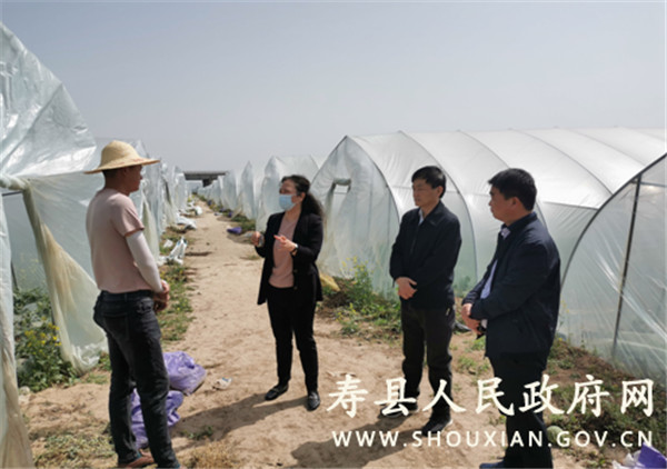淮南市壽縣縣委副書孫奇志到澗溝鎮(zhèn)調(diào)研指導重點工作