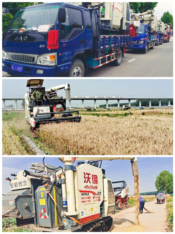 淮南毛集實驗區(qū)開機(jī)收麥