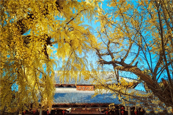 【圖說淮南】——壽縣報(bào)恩禪寺