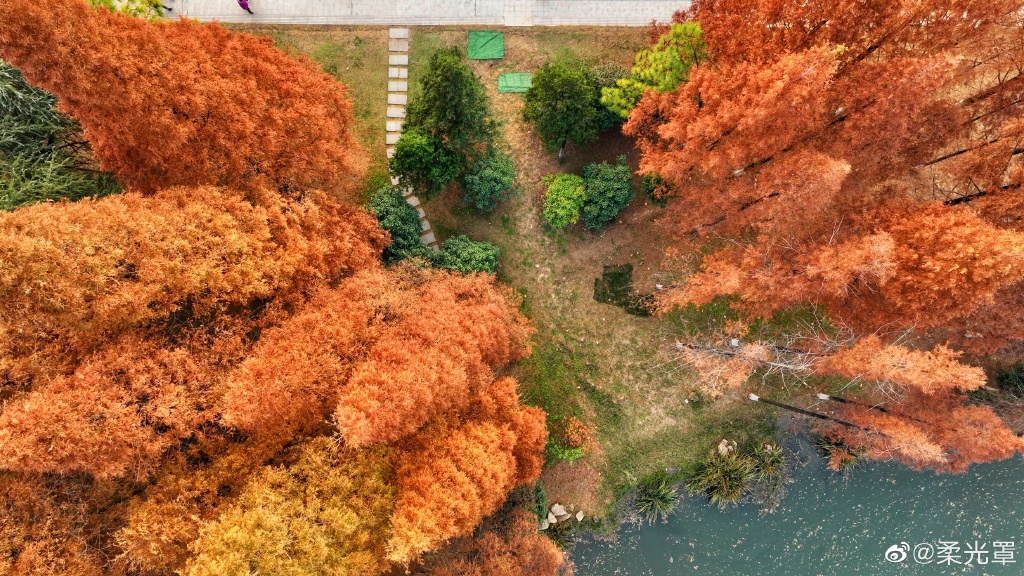 【圖說淮南】——淮南龍湖公園的冬天是什么顏色的呢？