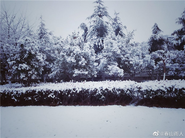 【圖說(shuō)淮南】——2022年淮南第一場(chǎng)雪！來(lái)的遲嗎？