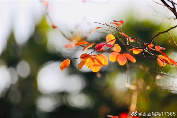 【圖說淮南】——  陽(yáng)光正好