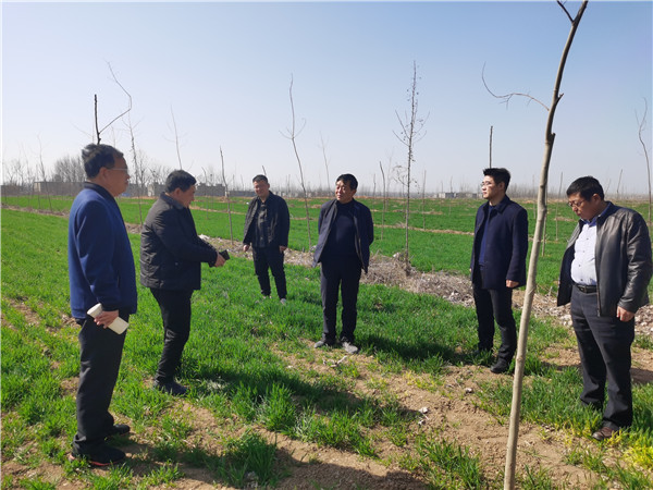 淮南市林業(yè)局局長(zhǎng)魯金杰調(diào)研指導(dǎo)春季植樹(shù)造林工作